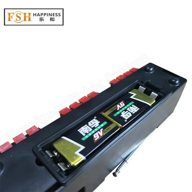 12 Cue Programmable Remote Firing System
