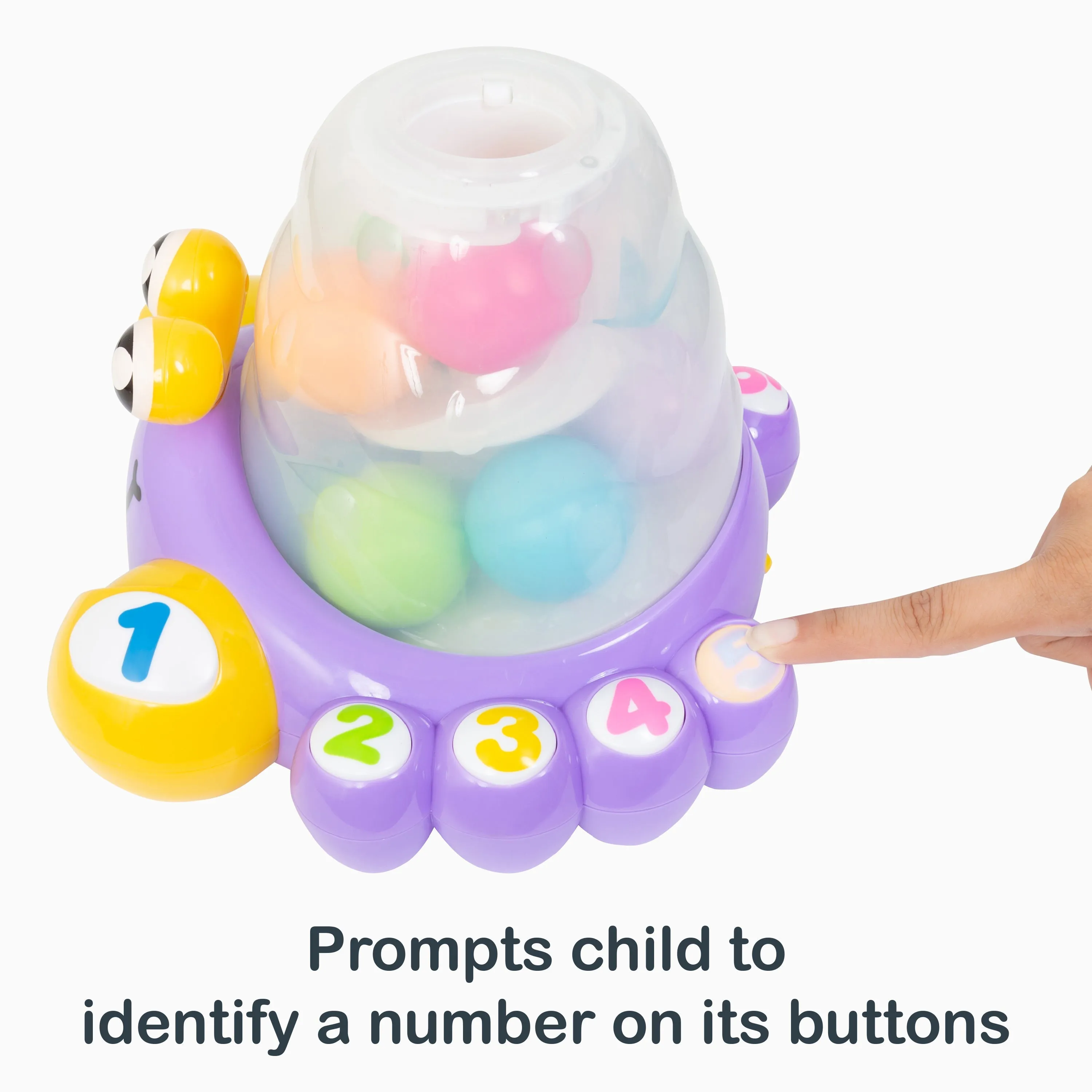 Beginning Brainiacs Fun Box