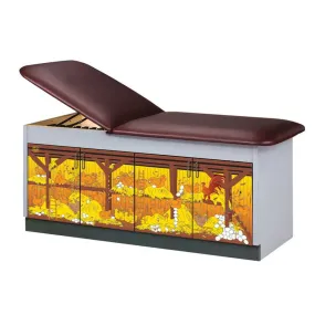 Clinton Discover Series Pediatric Cabinet Treatment Table