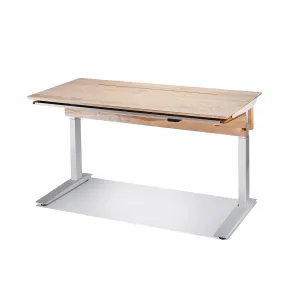 Desk (Hardwood / Maple / Programmable)