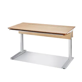 Desk (Plywood / Maple / Programmable)