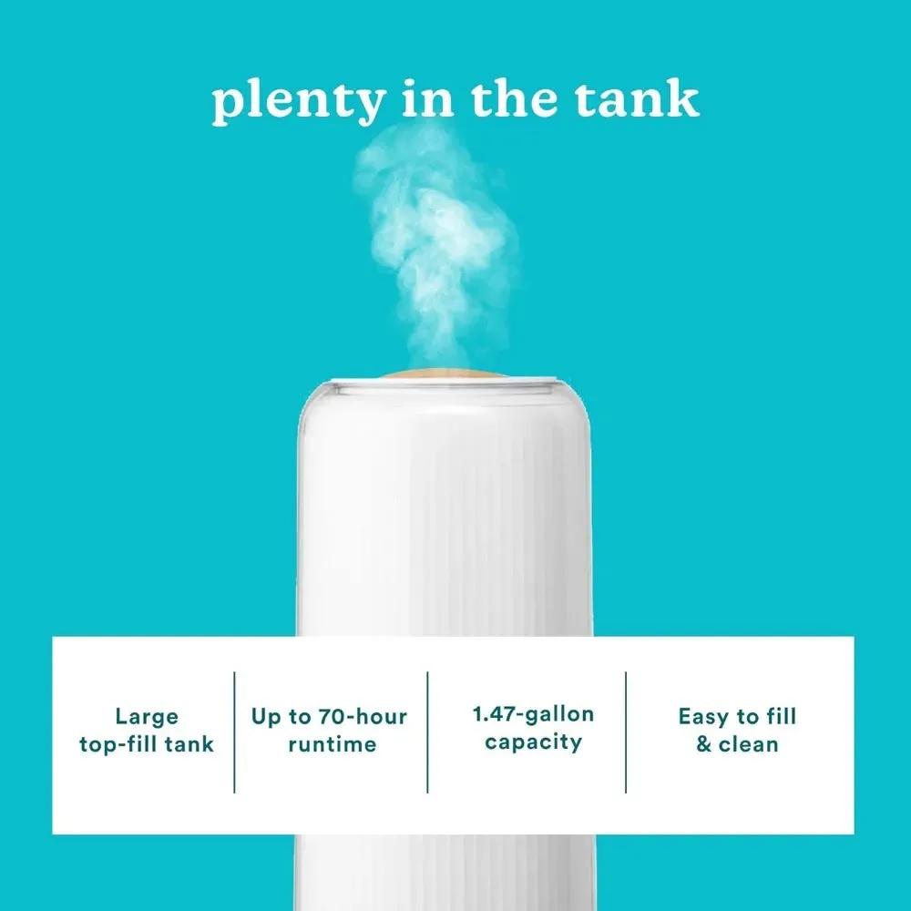 Homedics Ultrasonic Humidifier