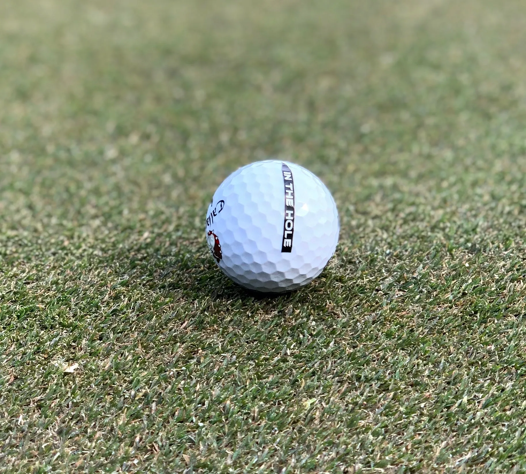 In The Hole Putting Alignment Arrows