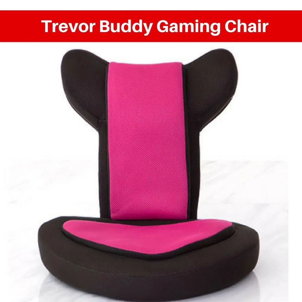 Shoppy Trevor Reading Gaming Cushion Chair