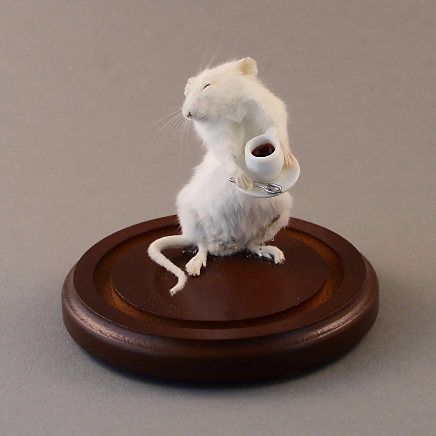 Taxidermy Coffee Shop Mouse